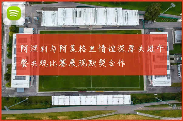 阿涅利与阿莱格里情谊深厚共进午餐共观比赛展现默契合作