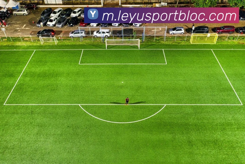 乐鱼体育APP 封面图